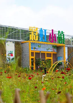 《彩虹小镇》：一场色彩斑斓的心灵治愈之旅，在爱与理解中寻找自我