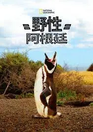 《国家地理 野性阿根廷》：震撼人心的自然史诗，探秘南美狂野之美！