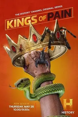 《疼痛之王第二季》：深扒医疗黑幕，揭露人性挣扎，比第一季更炸裂！