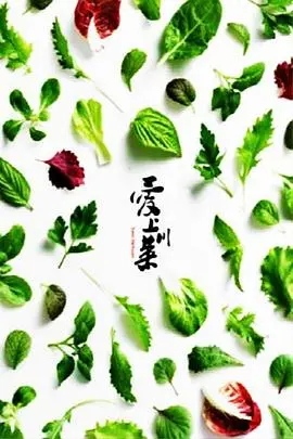 《爱上川菜》：麻辣滋味，人生百态！一盘川菜，品尽人性的酸甜苦辣！