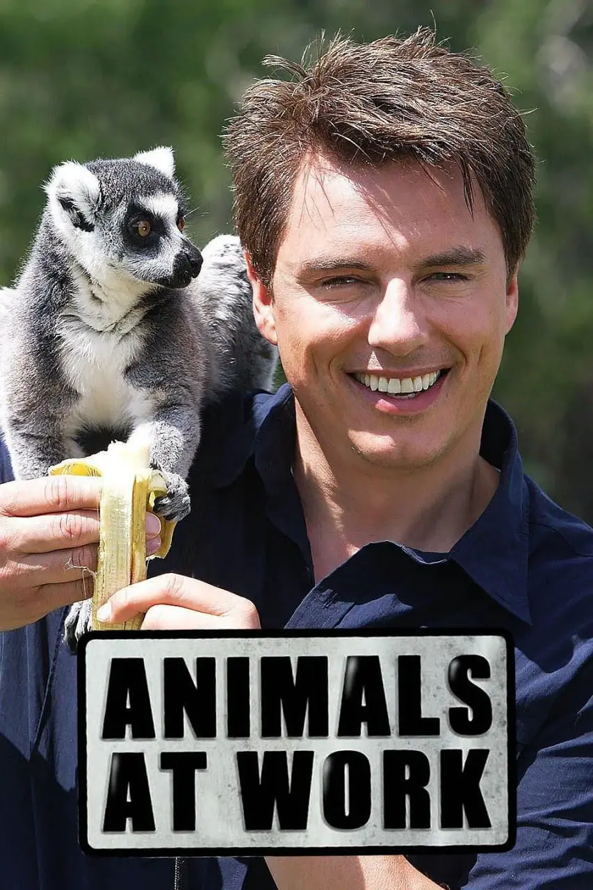 《动物打工记》：脑洞大开的奇幻冒险，笑料百出！你敢信？